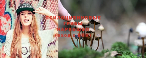стаф Козельск