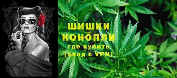 стаф Сосновоборск