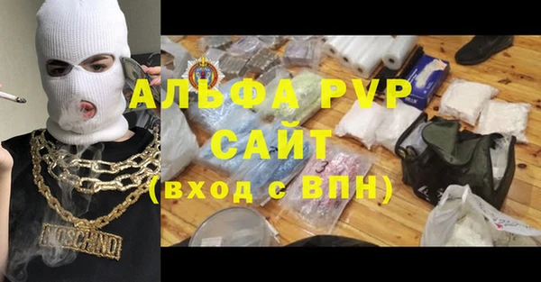 амф Козловка