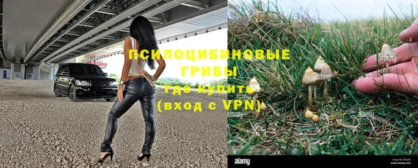 стаф Сосновоборск